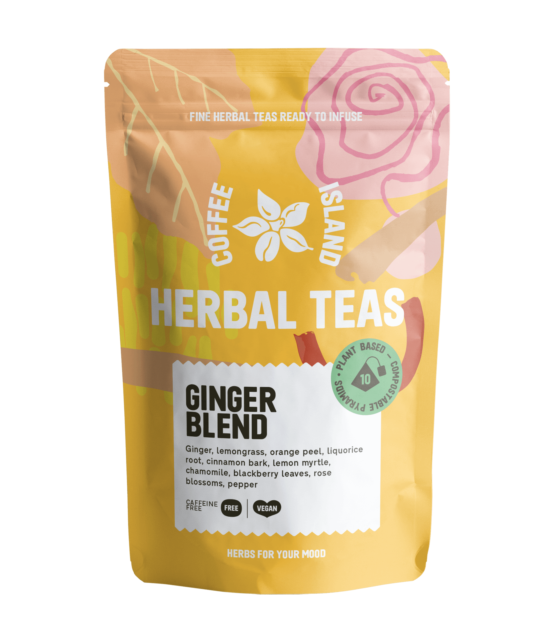 Tisane Pyramide au Gingembre (10 pièces)